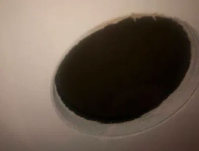 Garage ceiling