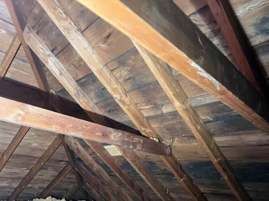 Mold before